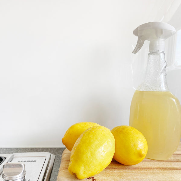 Elyn's Favorites | Eco-Friendly Cleaning Products